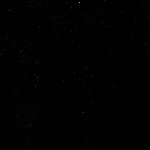 Z〇Z〇女人另类Z〇Z〇豆奶
